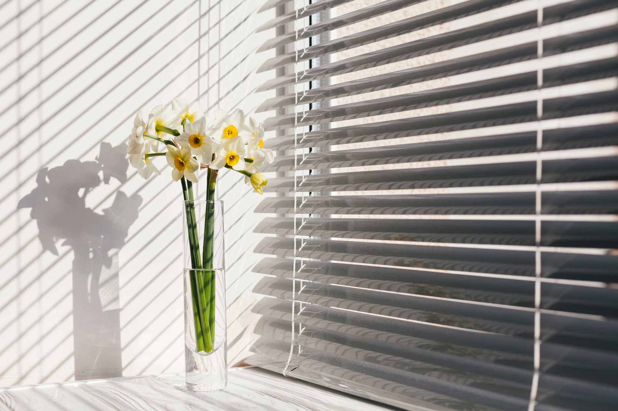 Venetian Blinds