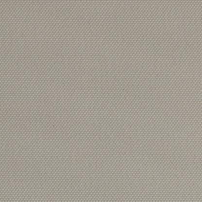 Palm Beach - Lightfilter Roller Blind